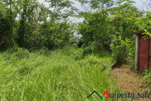 মুক্তধারা সিটিতে মাত্র ৩ লক্ষ টাকায় জমির শেয়ার মালিকানা