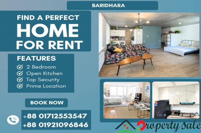 Furnished 2 Bedroom Studio Apartment RENT in Baridhara.