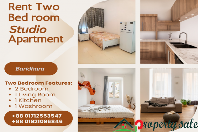 Furnished 2 Bedroom Studio Apartment RENT in Baridhara.