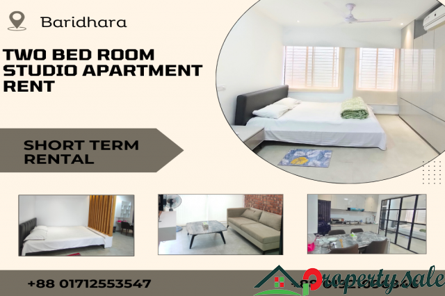 Two Bedroom Studio Apartments RENT in Baridhara.