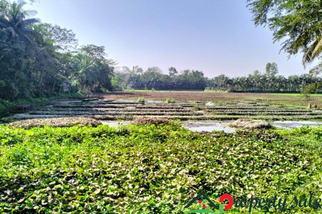 Plot in Mirikpur, Laxmipur, Noakhali Bangladesh