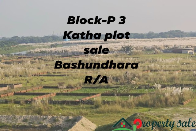 Block-P 3 Katha plot sale Bashundhara R/A Property